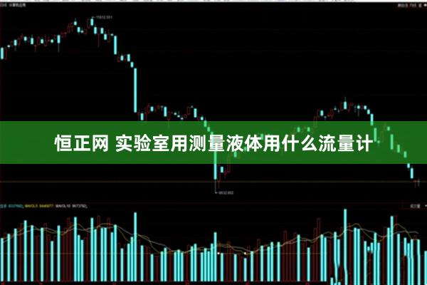 恒正网 实验室用测量液体用什么流量计